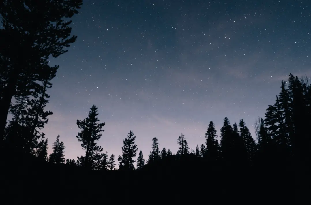 Fast, objective verification of agricultural insurance claims